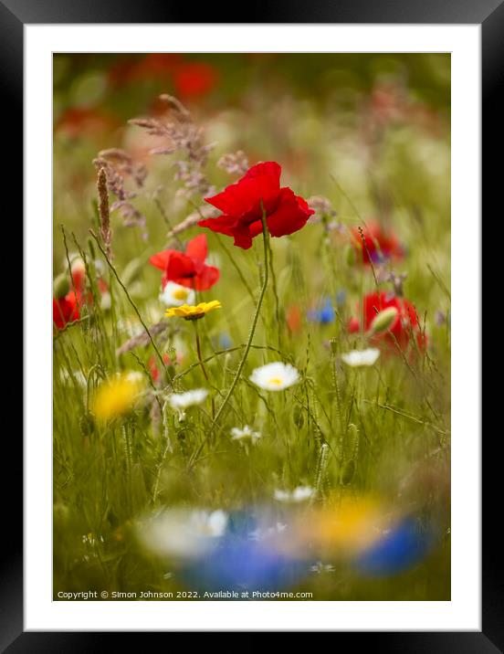 `Poppy flower Framed Mounted Print by Simon Johnson