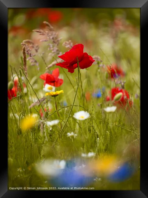 `Poppy flower Framed Print by Simon Johnson