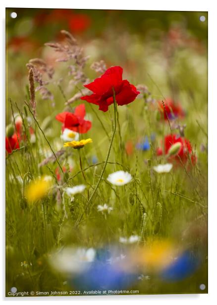 `Poppy flower Acrylic by Simon Johnson
