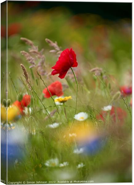 wind bnlown poppy flower Canvas Print by Simon Johnson