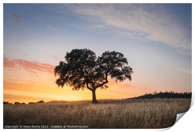 Lonely tree at sunset Print by Paulo Rocha