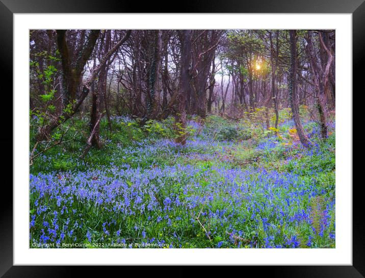 Enchanting Bluebell Forest Framed Mounted Print by Beryl Curran
