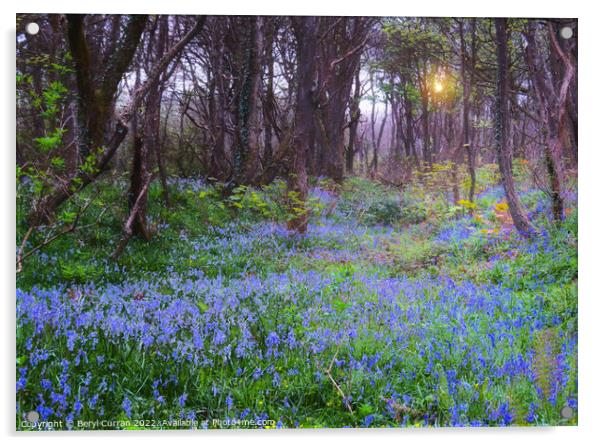 Enchanting Bluebell Forest Acrylic by Beryl Curran