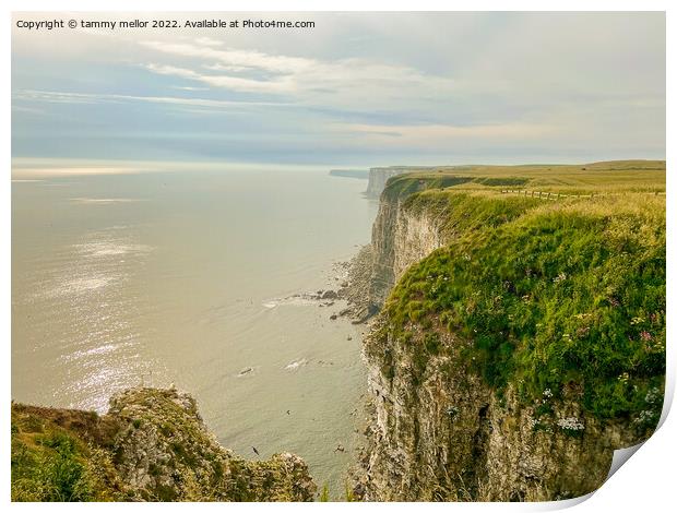 Majestic Bempton Cliffs Print by tammy mellor