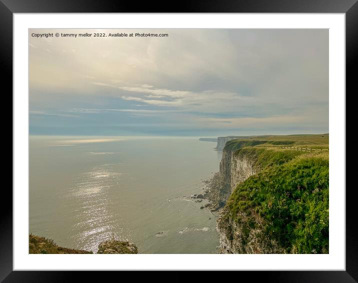 Majestic Sunrise Over Bempton Cliffs Framed Mounted Print by tammy mellor