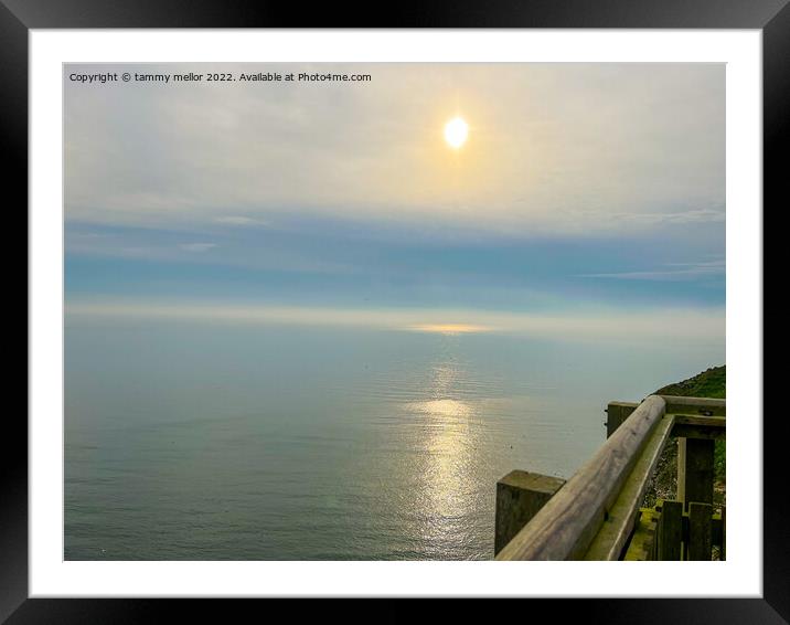 Mesmerising Sunrise at Bempton Cliffs Framed Mounted Print by tammy mellor