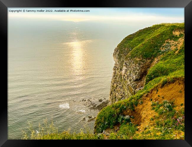 Majestic Beauty of Bempton Cliffs Framed Print by tammy mellor