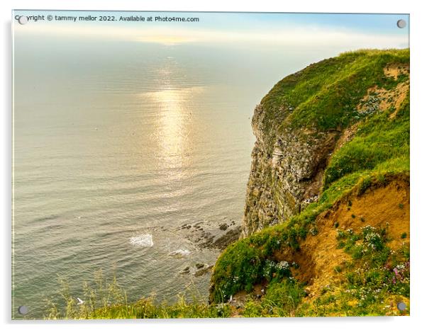 Majestic Beauty of Bempton Cliffs Acrylic by tammy mellor