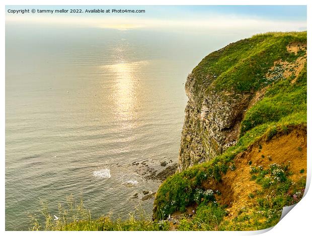 Majestic Beauty of Bempton Cliffs Print by tammy mellor