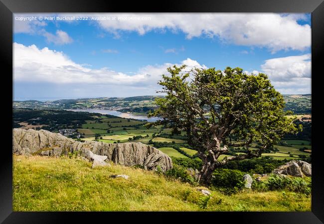 Conwy Valley Landscape Wales Framed Print by Pearl Bucknall