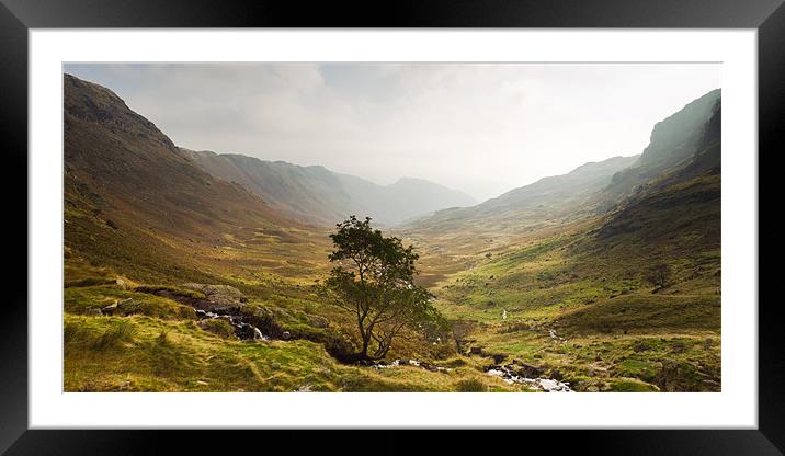 Alone - Far Easedale Framed Mounted Print by Simon Wrigglesworth