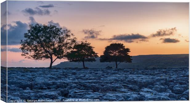 Sunset in the Yorkshire Dales Canvas Print by George Robertson