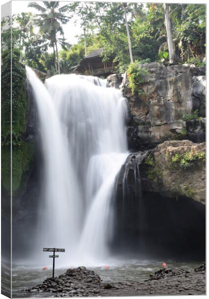 Waterfall in Bali Canvas Print by Theo Spanellis