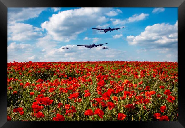 Lancasters Poppy Fly Past Framed Print by J Biggadike
