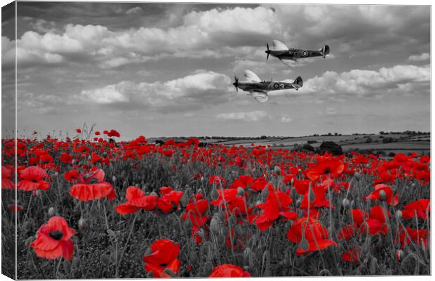 Spitfires and Poppies - Selective Version Canvas Print by J Biggadike