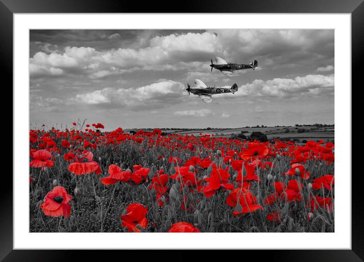 Spitfires and Poppies - Selective Version Framed Mounted Print by J Biggadike