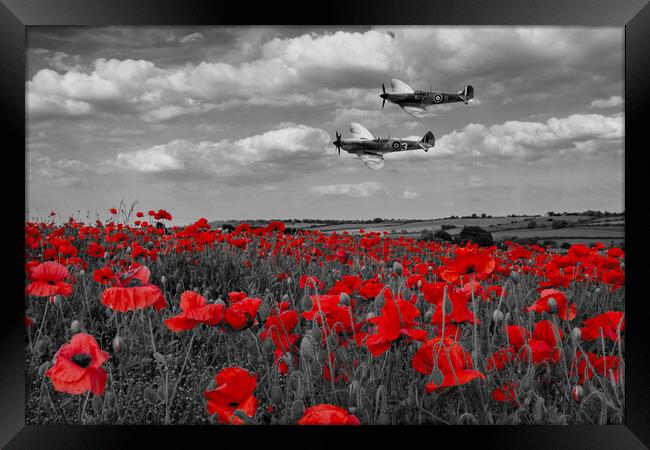 Spitfires and Poppies - Selective Version Framed Print by J Biggadike