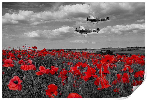 Spitfires and Poppies - Selective Version Print by J Biggadike