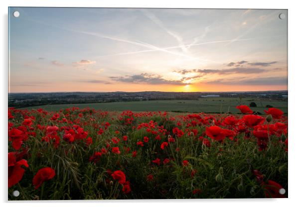 Sunset Poppy Field Acrylic by J Biggadike