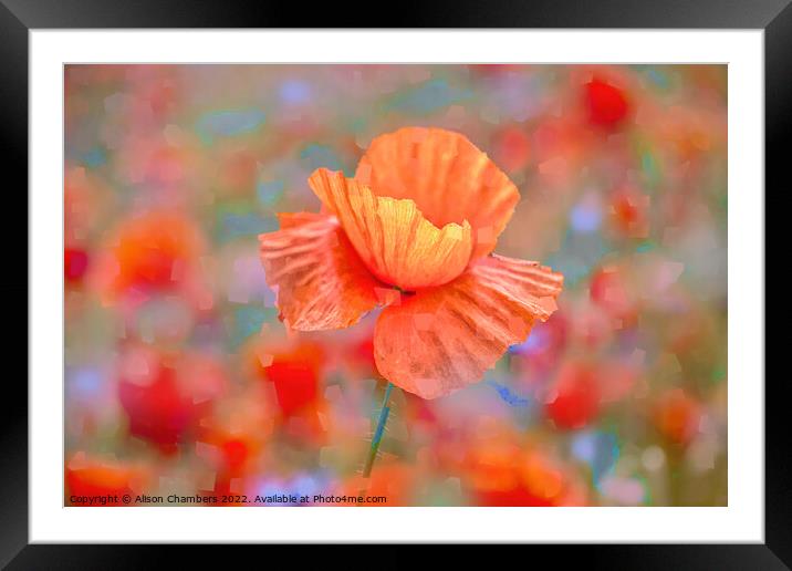 Poppy Flower Impressions Framed Mounted Print by Alison Chambers