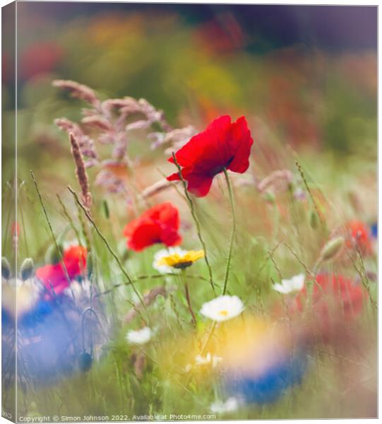 poppy Canvas Print by Simon Johnson