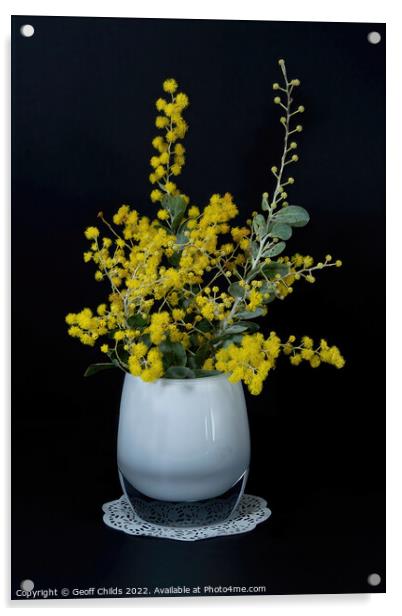 Wattle blossoms in a white glass vase on black. Wattle Day image Acrylic by Geoff Childs