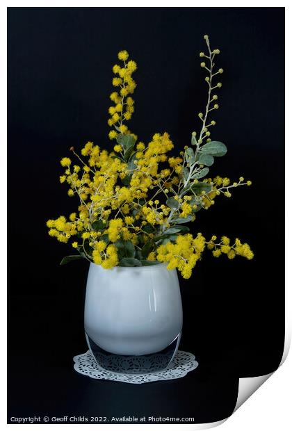 Wattle blossoms in a white glass vase on black. Wattle Day image Print by Geoff Childs