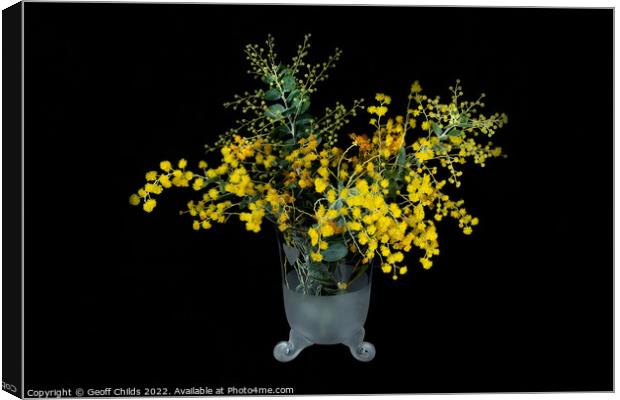 Wattle blossoms in a white and clear glass vase on black. Wattle Canvas Print by Geoff Childs