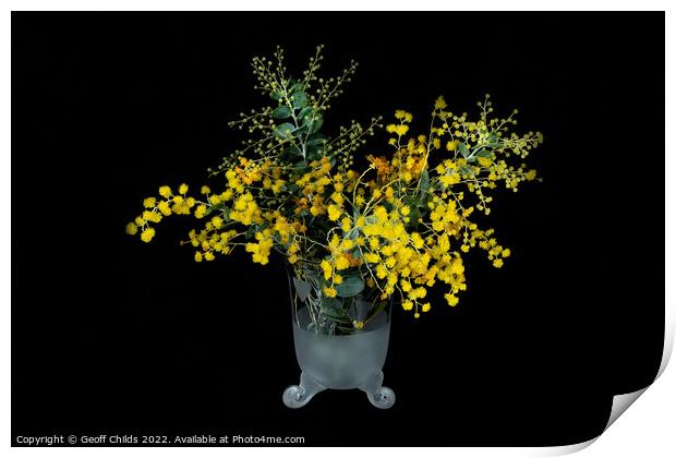 Wattle blossoms in a white and clear glass vase on black. Wattle Print by Geoff Childs
