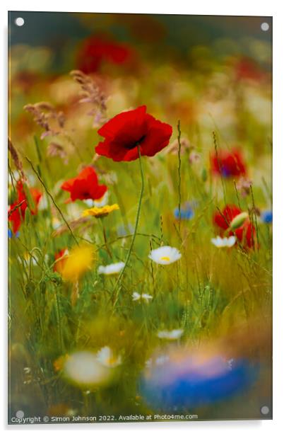 Poppy flower Acrylic by Simon Johnson