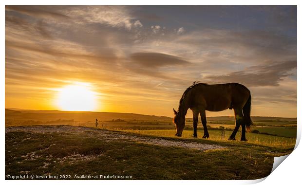 Horses at Sunset  Print by kevin long