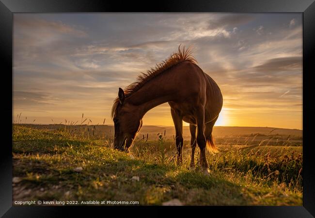 A horse standing on top of a grass covered field Framed Print by kevin long