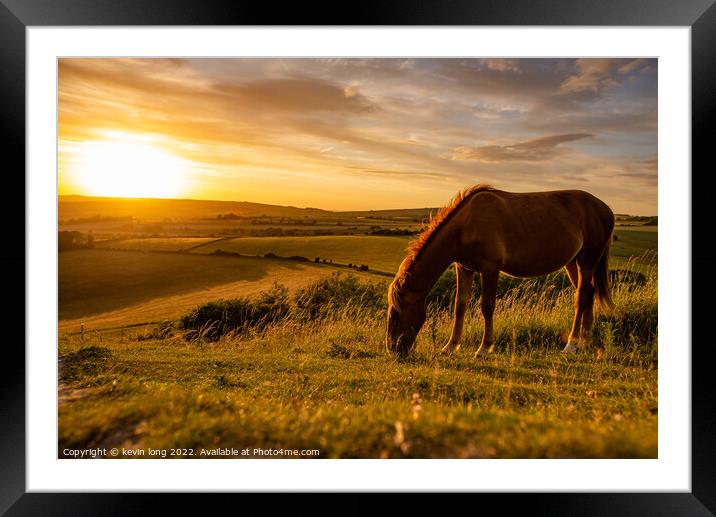 A brown horse grazing in an open field Framed Mounted Print by kevin long