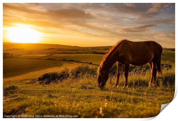 A brown horse grazing in an open field Print by kevin long