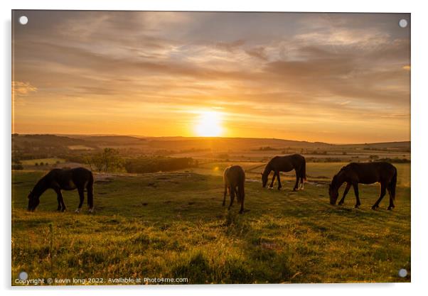Sky sun and horses  Acrylic by kevin long