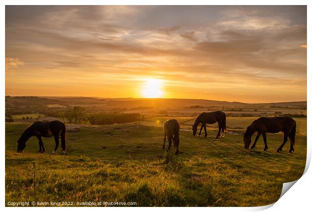 Sky sun and horses  Print by kevin long