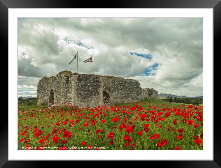 Castle Roy with Poppies Framed Mounted Print by Robert Murray