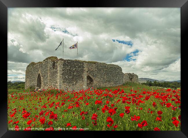 Castle Roy with Poppies Framed Print by Robert Murray