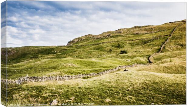 Dry Stone Wall Running Up The Hillside At The Honiston Pass In The Lake District Canvas Print by Peter Greenway