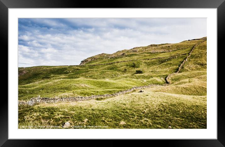 Dry Stone Wall Running Up The Hillside At The Honiston Pass In The Lake District Framed Mounted Print by Peter Greenway