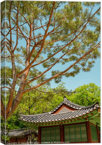Summer of Jongmyo Shrine in Korea Canvas Print by Sanga Park