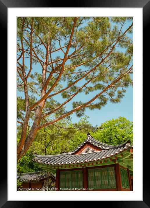 Summer of Jongmyo Shrine in Korea Framed Mounted Print by Sanga Park