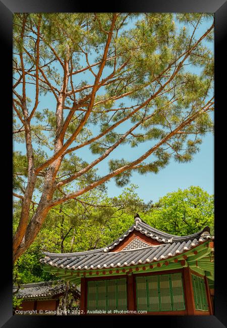 Summer of Jongmyo Shrine in Korea Framed Print by Sanga Park