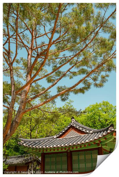 Summer of Jongmyo Shrine in Korea Print by Sanga Park