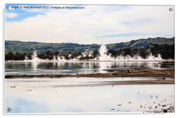 Lake Rotorua New Zealand Acrylic by Pearl Bucknall