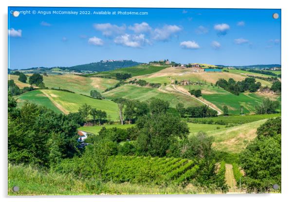 Tuscan landscape towards Montepulciano Acrylic by Angus McComiskey