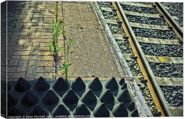 Railway Lines Canvas Print by Kevin Plunkett