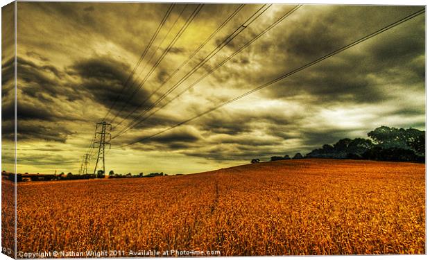 Fields of power Canvas Print by Nathan Wright
