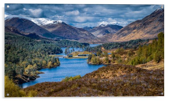 Glen Affric Panorama Acrylic by John Frid
