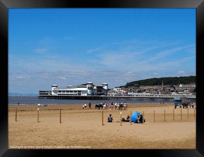 Fun in the Sun in Somerset. Framed Print by Mark Ward